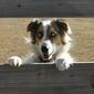 User picture for James Bruton